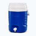 Vandens bakas Igloo Sport 2 Gallon Water 7,5 l blue 4