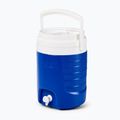 Vandens bakas Igloo Sport 2 Gallon Water 7,5 l blue 6