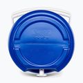 Vandens bakas Igloo Sport 2 Gallon Water 7,5 l blue 10