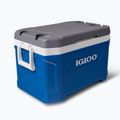 Turistinis šaldytuvas Igloo Latitude 52 49 l ice blue/meteorite 2
