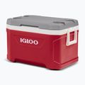 Nešiojamas šaldytuvas Igloo Latitude 52 49 l industrial red 4