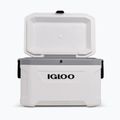 Turistinis šaldytuvas Igloo Latitude Marine Ultra 54 51 l white/moonscape gray 4