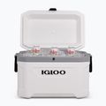 Turistinis šaldytuvas Igloo Latitude Marine Ultra 54 51 l white/moonscape gray 10