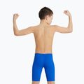 Vaikiški plaukimo šortai arena Team Swim Jammer Solid royal/white 7