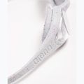 Vaikiški plaukimo akiniai Arena Spider clear/grey 10