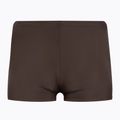 Maudymosi trumpikės Arena Icons Swim Short Solid sepia/water 2