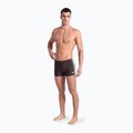 Maudymosi trumpikės Arena Icons Swim Short Solid sepia/water 5