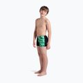 Vaikiškos plaukimo trumpikės arena Foam Swim Short black/soft green multi 6