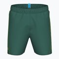 Vyriški maudymosi šortai arena Fundamentals Arena Logo Boxer R artic lime/mangrove 3