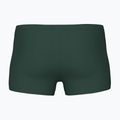 Vyriškos plaukimo trumpikės arena Poseidonia Swim Short dark sage/artic lime 2