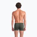 Vyriškos plaukimo trumpikės arena Poseidonia Swim Short dark sage/artic lime 6