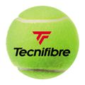 Tecnifibre X-One teniso kamuoliukai 4 vnt. geltoni 60XONE364N