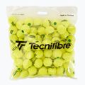 Tecnifibre Stage 1 teniso kamuoliukai 144 vnt. 2