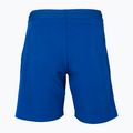 Tecnifibre Stretch mėlyni vaikiški teniso šortai 23STRE 2