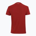 Vyriški teniso marškinėliai Tecnifibre Team Tech Tee red 22TETECR33 3