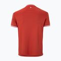 Vyriški teniso marškinėliai Tecnifibre Team Tech terracotta 5