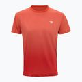 Vyriški teniso marškinėliai Tecnifibre Team X-Loop terracotta 4