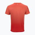 Vyriški teniso marškinėliai Tecnifibre Team X-Loop terracotta 5