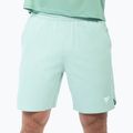 Vyriški teniso šortai Tecnifibre Team Stretch Short sage 2