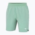 Vyriški teniso šortai Tecnifibre Team Stretch Short sage 3