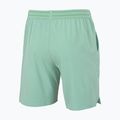 Vyriški teniso šortai Tecnifibre Team Stretch Short sage 4