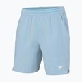 Vyriški teniso šortai Tecnifibre Team Stretch Short glacier 3