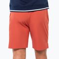 Vyriški teniso šortai Tecnifibre Team Stretch Short terracotta 2