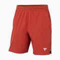 Vyriški teniso šortai Tecnifibre Team Stretch Short terracotta 4