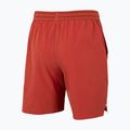 Vyriški teniso šortai Tecnifibre Team Stretch Short terracotta 5