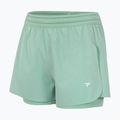 Moteriški teniso šortai Tecnifibre Team Stretch Short W sage 4