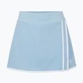 Teniso sijonas Tecnifibre Team Stretch Skirt glacier 3