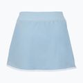 Teniso sijonas Tecnifibre Team Stretch Skirt glacier 4