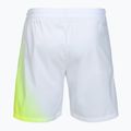 Vyriški teniso šortai Tecnifibre X-Loop white/yellow 6