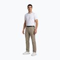 Vyriškos žygių kelnės Aulp Brady light khaki 2