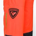 Vyriškos Rossignol Hero slidinėjimo kelnės neon red 12