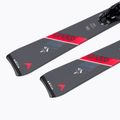 Dynastar Speed 563 K + NX12 pilka DRKZ301 kalnų slidės 9