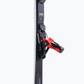 Vyriškos kalnų slidės Dynastar Speed Master SL R22 + SPX12 Red black DRLZ002 7