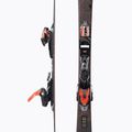 Moteriškos kalnų slidinėjimo slidės Dynastar E Lite 3 + XP11 brown DRKBT02 5