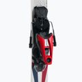 Vyriškos kalnų slidės Rossignol Signature Strato Crs K + NX12 white 7