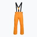 Vyriškos slidinėjimo kelnės Rossignol Ski sunburst 8
