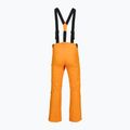 Vyriškos slidinėjimo kelnės Rossignol Ski sunburst 9