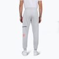 Vyriškos kelnės Rossignol New Hero soft grey 3
