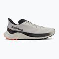 Vyriški bėgimo batai Rossignol Venosk light grey 2