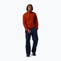 Vyriškas flisinis džemperis Rossignol Quarter Zip Fleece rooibos tea 2