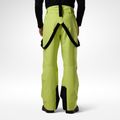 Vyriškos slidinėjimo kelnės Rossignol Insulated Ski wild lime 3