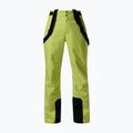 Vyriškos slidinėjimo kelnės Rossignol Insulated Ski wild lime 9