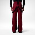 Vyriškos slidinėjimo kelnės Rossignol Insulated Ski tibetan red 3