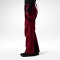 Vyriškos slidinėjimo kelnės Rossignol Insulated Ski tibetan red 4
