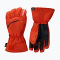 Vyrų slidinėjimo pirštinės Rossignol Perf R-Shell Thermal golden gate 2
