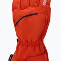 Vyrų slidinėjimo pirštinės Rossignol Perf R-Shell Thermal golden gate 3
